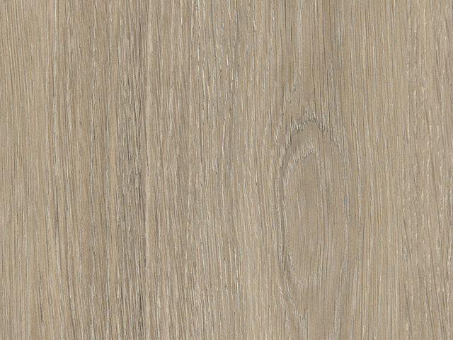 H3146 ST19