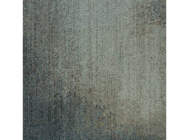 WLN79-173