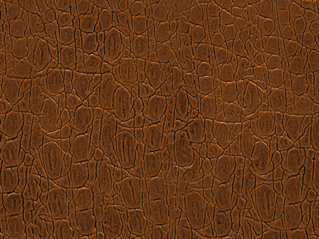 Novara Pecan
