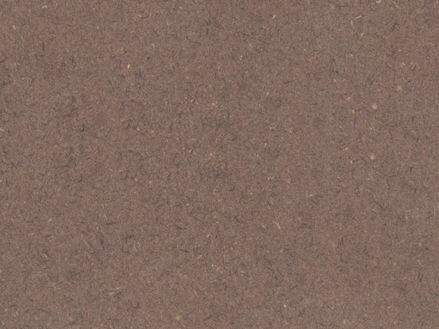 Marron chocolat