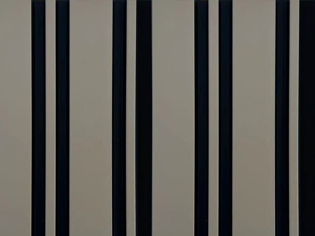 Roma Taupe - Noir